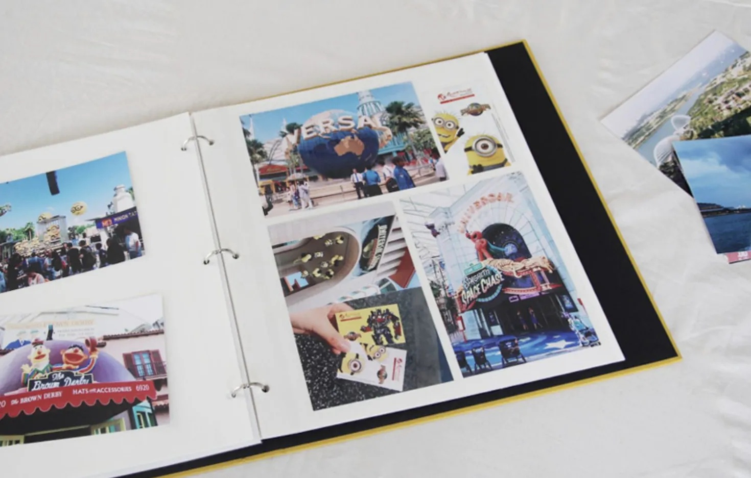 Large Daily Binder Album Refill