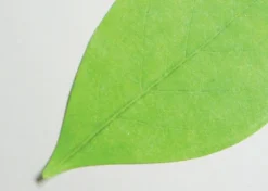 Large Leaf Sticky Note