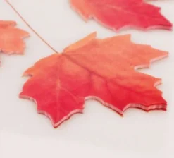 Large Maple Leaf Sticky Note