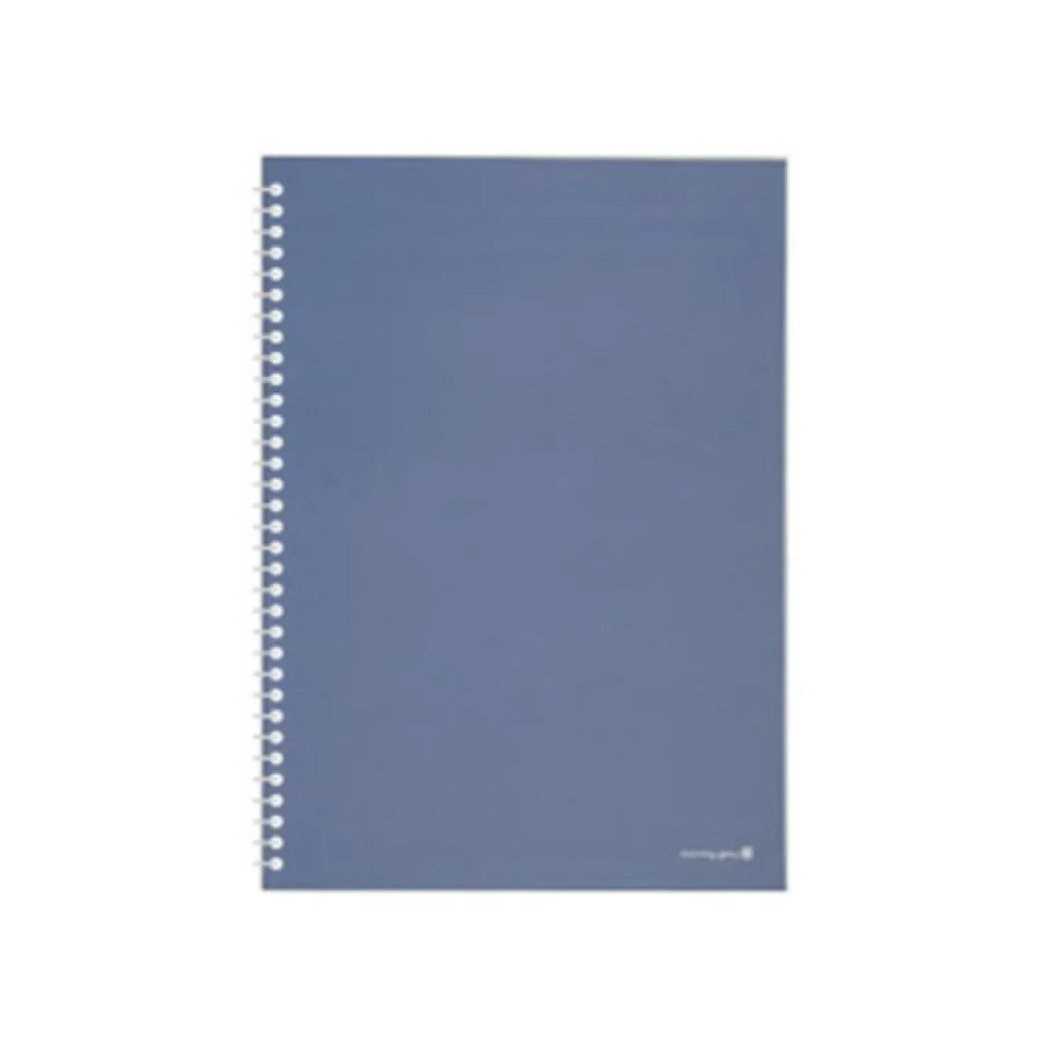 Large Tone & Mood Spiral Lined Notebook