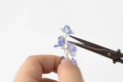 Larkspur Pressed Flower Sticker