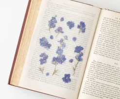 Larkspur Pressed Flower Sticker