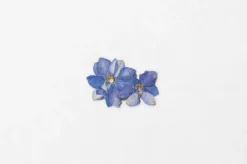 Larkspur Pressed Flower Sticker