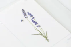 Lavender Pressed Flower Sticker