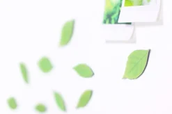 Leaf Magnet Set