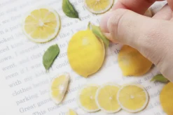 Lemon Pressed Fruit Sticker