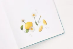 Lemon Pressed Fruit Sticker
