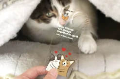 Let's Read Transparent Bookmark v2