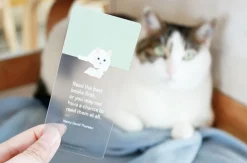 Let's Read Transparent Bookmark