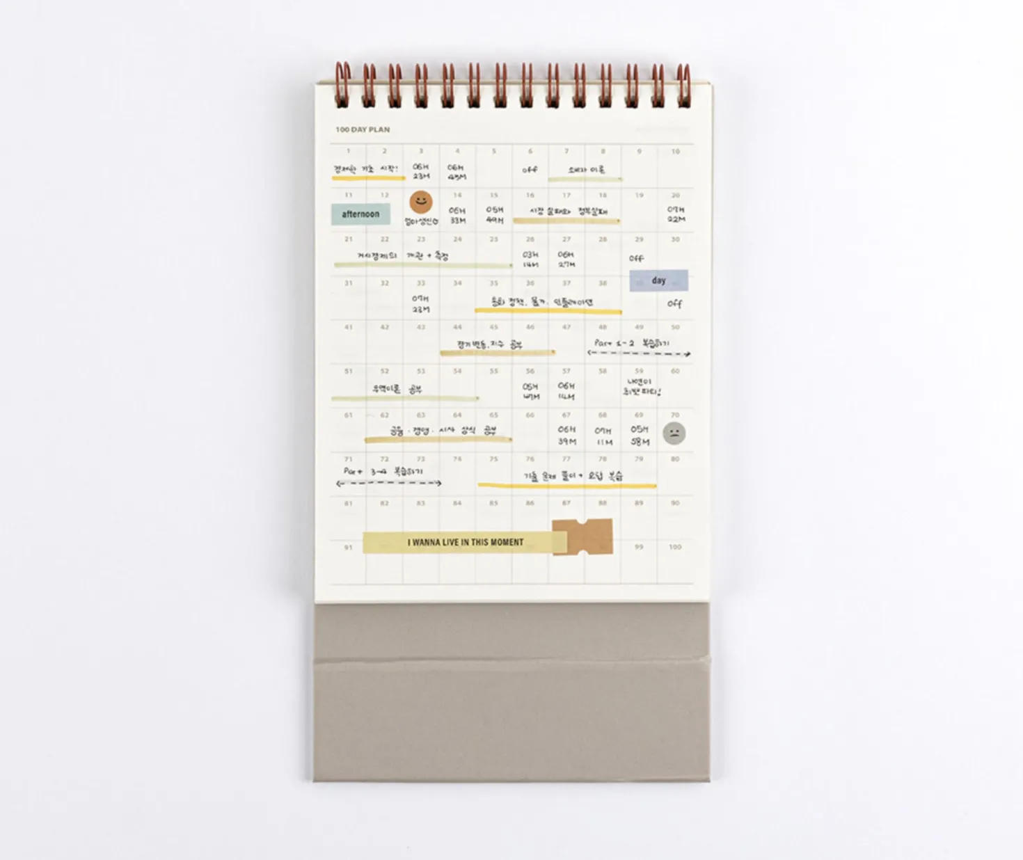 Life & Pieces 100 Day Standing Planner