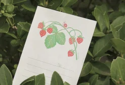 Little Garden Friends Letter Set