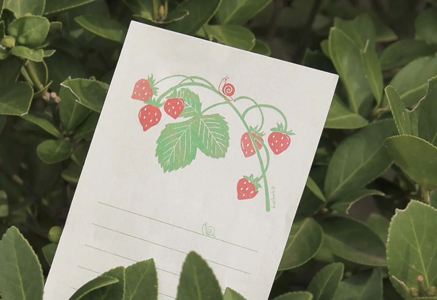 Little Garden Friends Letter Set