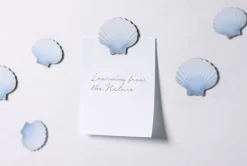 Magnet Set