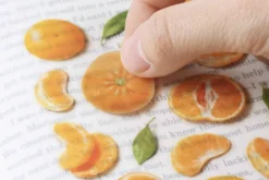 Mandarin Orange Pressed Fruit Sticker