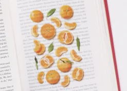 Mandarin Orange Pressed Fruit Sticker