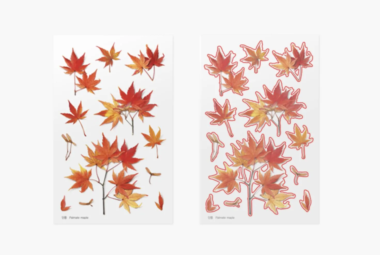 Maple Pressed Flower Sticker
