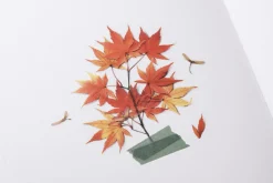 Maple Pressed Flower Sticker