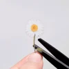Marguerite Pressed Flower Sticker