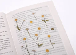 Marguerite Pressed Flower Sticker