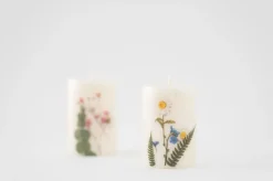 Marguerite Pressed Flower Sticker