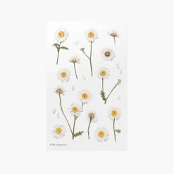 Marguerite Pressed Flower Sticker
