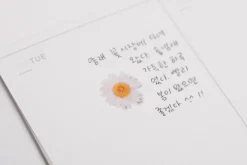 Marguerite Pressed Flower Sticker