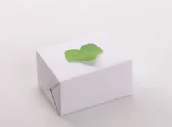 Medium Ivy Leaf Sticky Note