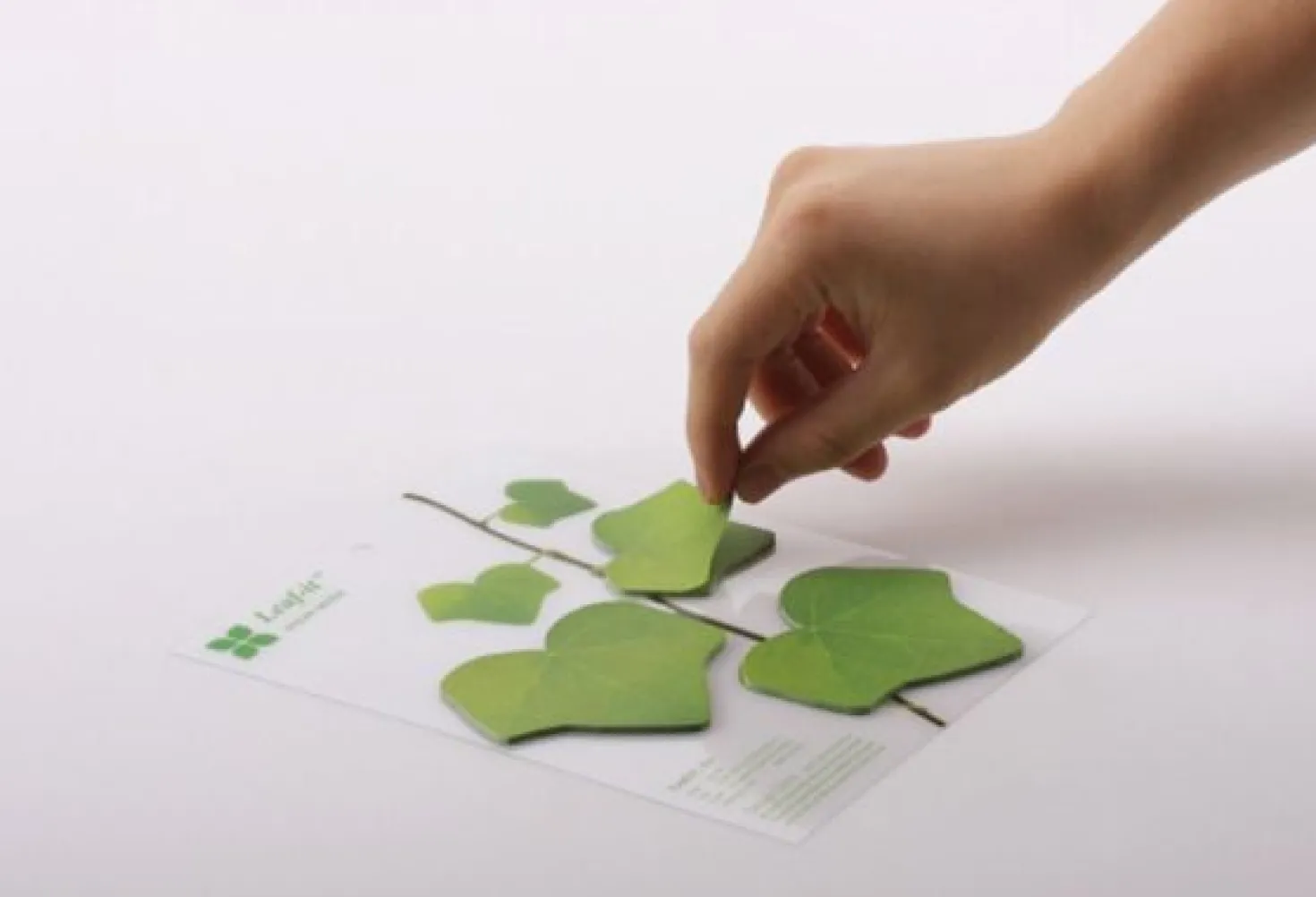 Medium Ivy Leaf Sticky Note