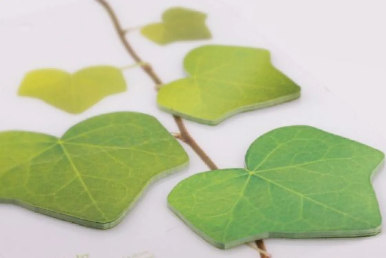 Medium Ivy Leaf Sticky Note
