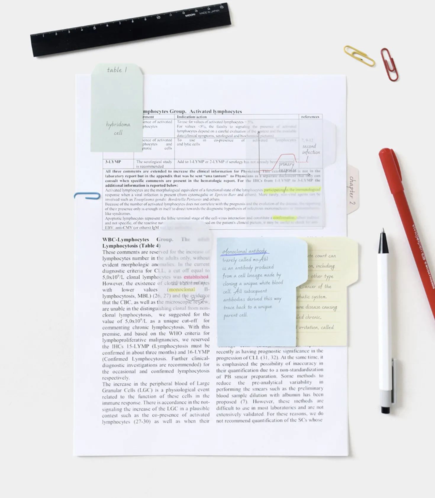 Medium Pastel Index Sticky Note