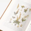 Mimosa Pressed Flower Sticker