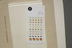Mini Mandu Deco Sticker