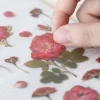 Mini Rose Pressed Flower Sticker