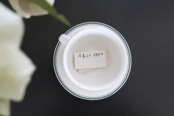 Mint & Pink Daily Plan Sticky Note