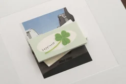 Mint & Pink Daily Plan Sticky Note