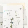Moss Phlox Pressed Flower Sticker