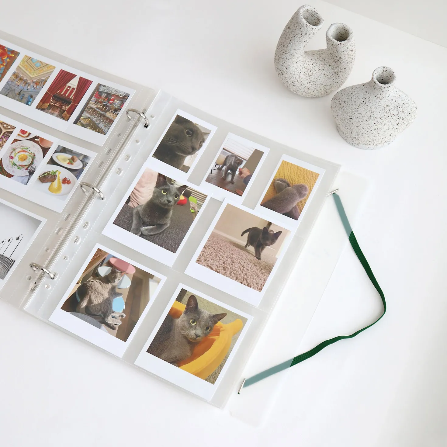 MYO 3 Ring A4 Binder Elastic Band