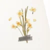 Narcissus Pressed Flower Sticker