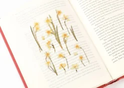Narcissus Pressed Flower Sticker