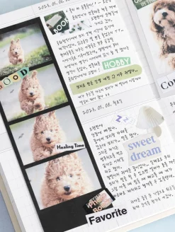 6pcs Magazine Collage Sticker Set