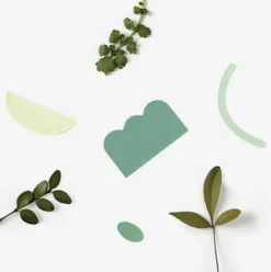 2pcs Natural Fun Pattern Sticker Set