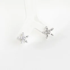 6pcs Starfish Earring Set