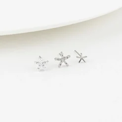 6pcs Starfish Earring Set