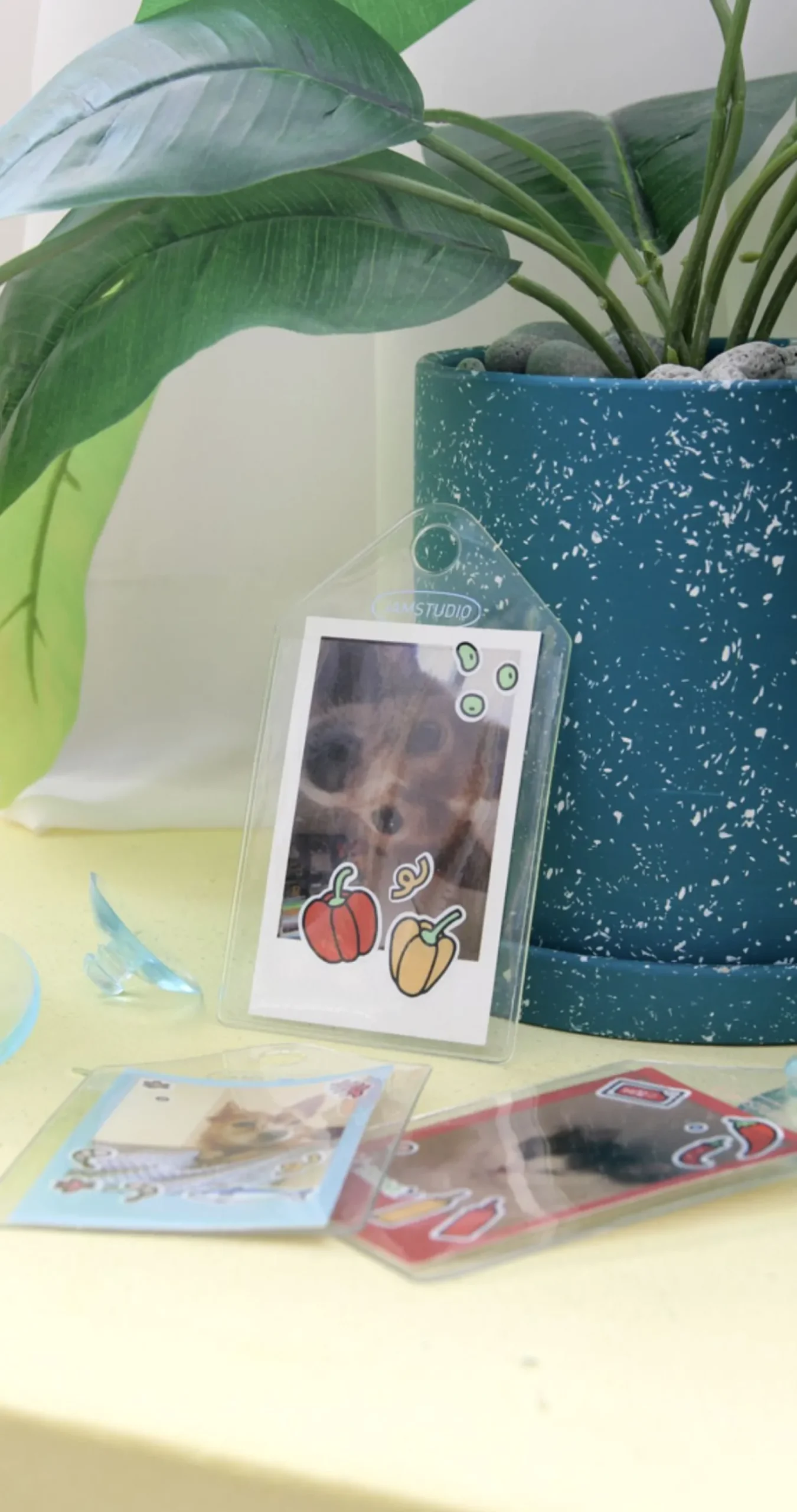 3pcs Window Attachable Instax Mini Photo 1 Pocket