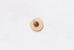 Peach Pressed Fruit Sticker