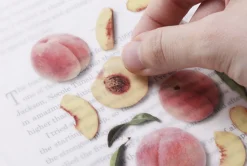 Peach Pressed Fruit Sticker