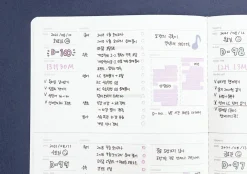 Plan B Stitched Study Planner