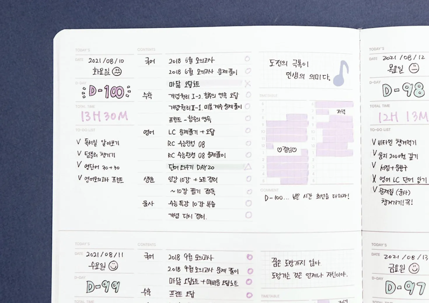 Plan B Stitched Study Planner