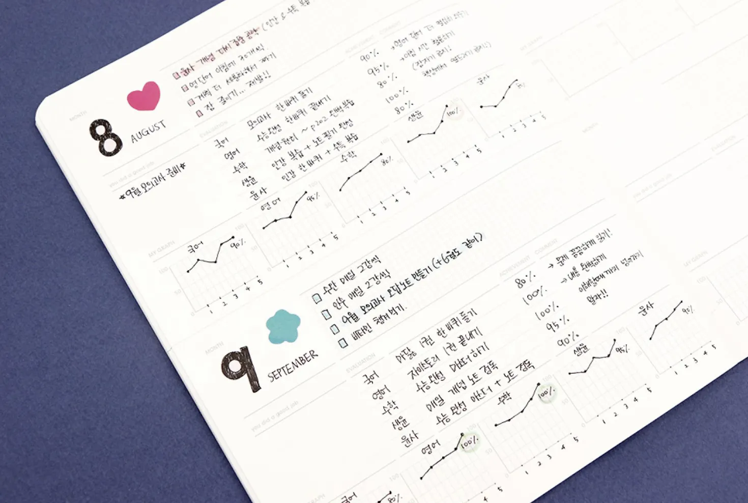Plan B Stitched Study Planner