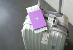 Plane Passport Case